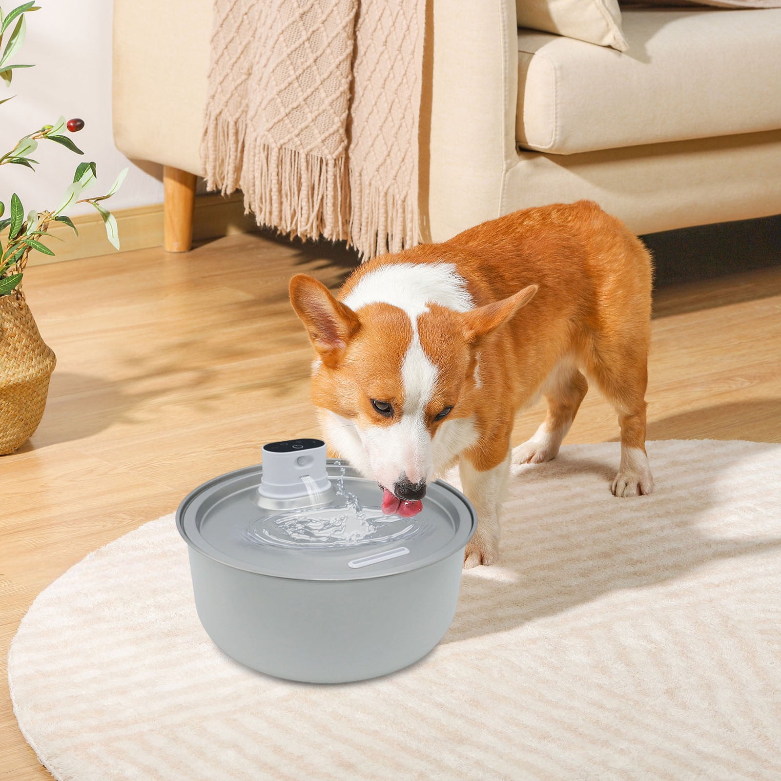 Pet Water Dispenser Stainless Steel 8L Super Quiet Cordless Automatic Motion Sensor Device for Cats and Dogs Ideal for Indoor Use
