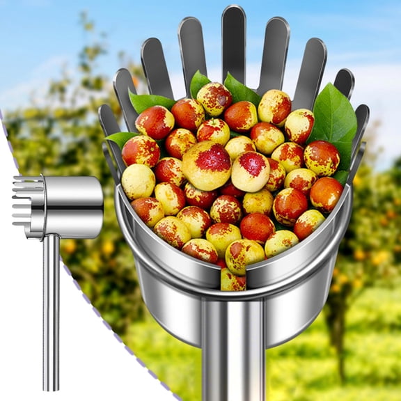 Stainless Steel Berry Blueberry Picker Harvester Tool, Handheld Fruit Plucking Device with Combing Head Collector, Lightweight Outdoor Garden Yard Picking Rake Gadget