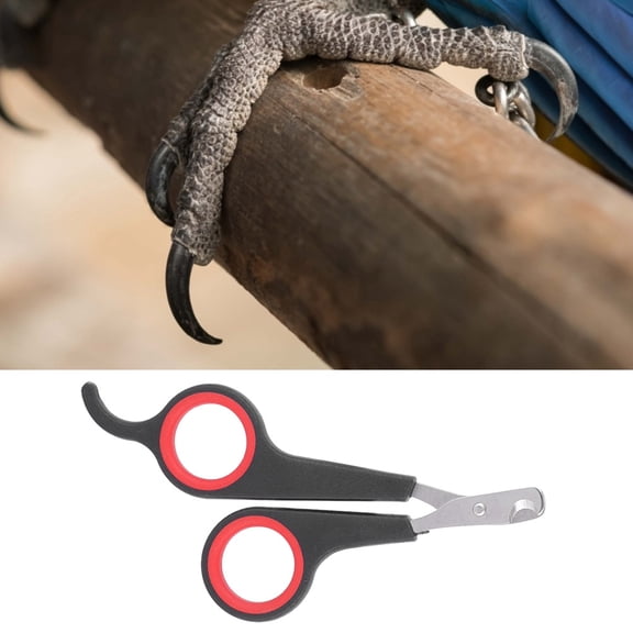 Stainless Steel Bird Grooming Scissors Professional Small Animal Parrot Claw Clipper Tool