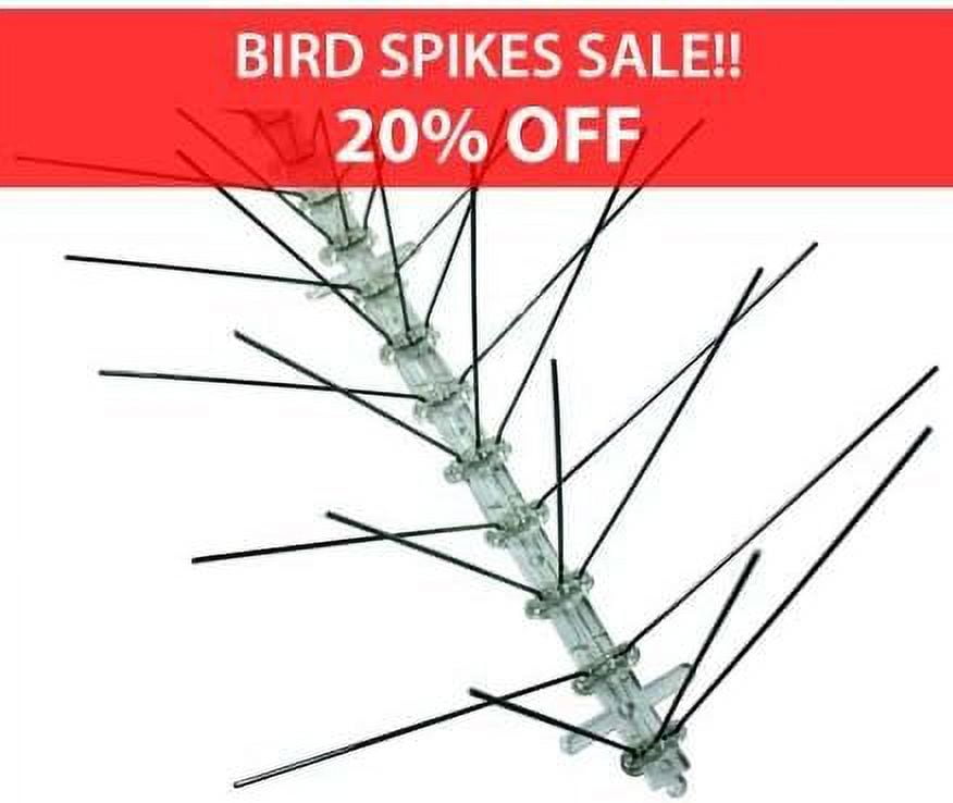 Stainless Steel Bird Spikes