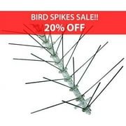 Stainless Steel Bird Spikes