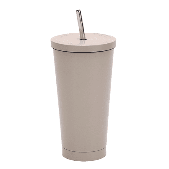 Stainless Steel Bottle, Simple Thermo Travel Mug, Metal Canteen-brown