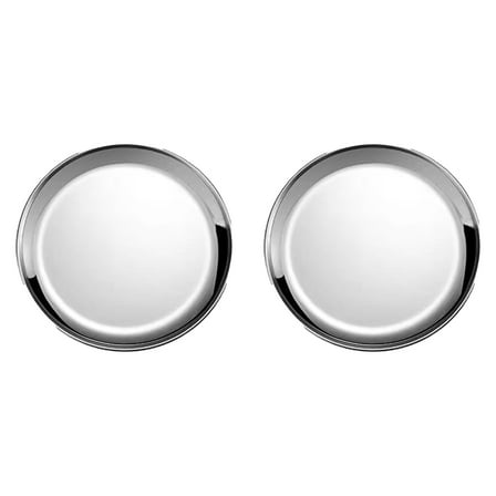 Stainless Steel Cat Bowls for Wet Food â 304 Non- Whisker Friendly Cat Dishes, Shallow Wide Pet Food Plates to Prevent Whisker Fatigue â for Indoor Cats & Kittens (Gift Idea)