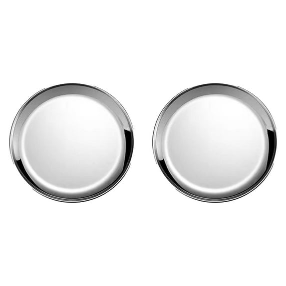 Stainless Steel Cat Bowls for Wet Food â 304 Non- Whisker Friendly Cat Dishes, Shallow Wide Pet Food Plates to Prevent Whisker Fatigue â for Indoor Cats & Kittens (Gift Idea)