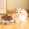 thumbnail image 1 of Stainless Steel Cat Food Bowl | No Slip Non Tip Pet Bowl | Double Layer Design for Cleanliness | Multi-Use for Food & Water | Large Capacity | Easy Clean | 14.2x9cm | 1 Pack, 1 of 6
