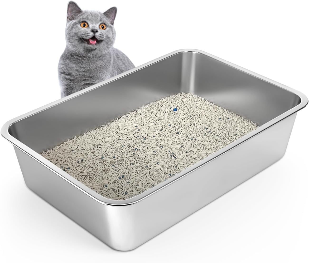 Curated visual reference: Fresh Look at Stainless Steel Cat Litter Box 6In Cat Litter Pan For