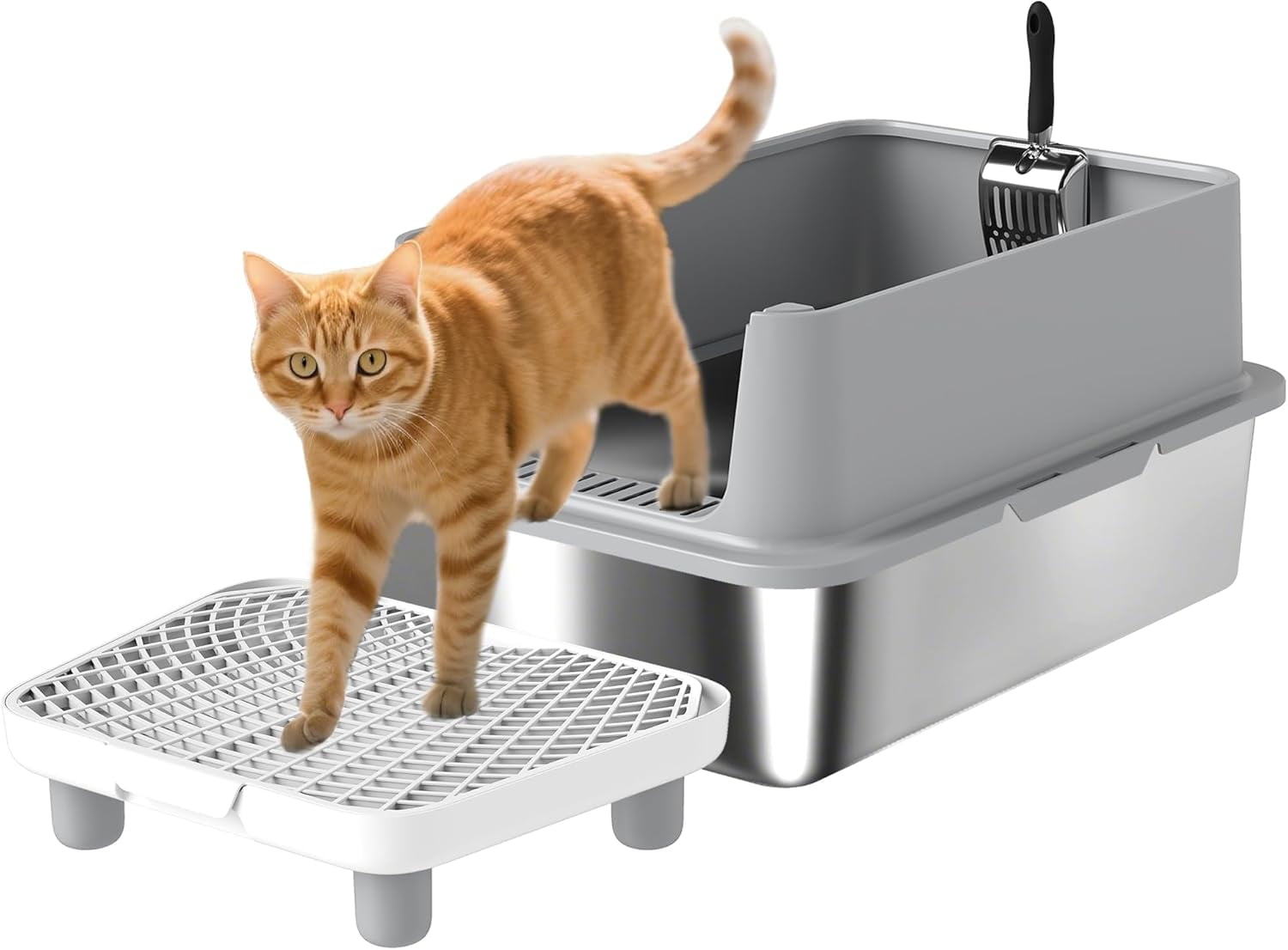 Stainless Steel Cat Litter Box, XL Kitty Litter Box for Big and Multiple Cats with High Wall Side, Scoop, Anti-Leakage, Easy Cleaning & Odour Free