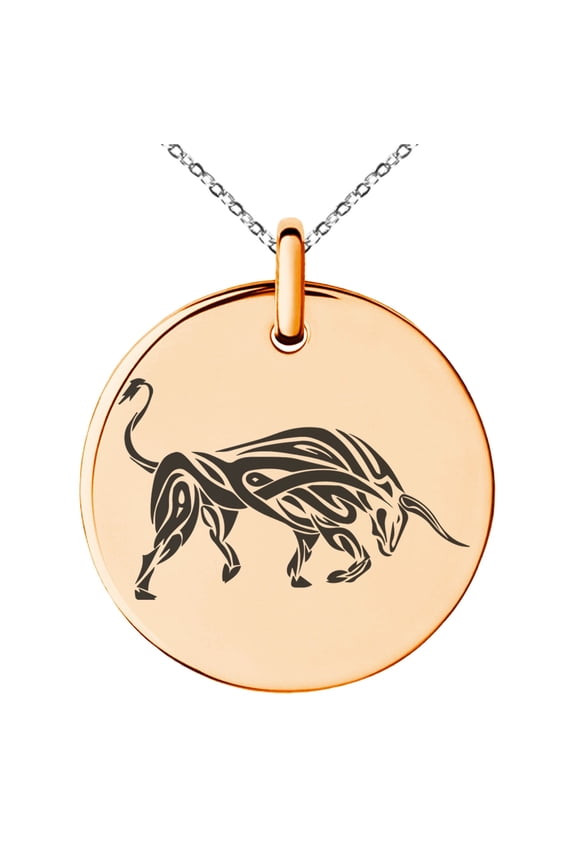 Stainless Steel Celtic Bull Rune Engraved Small Medallion Circle Charm Pendant Necklace