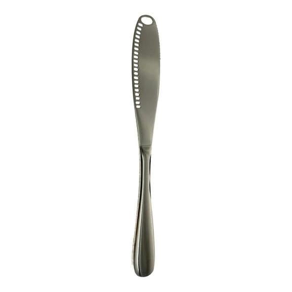 Stainless Steel Cheese Knife Spatula Butter Knife Bread and Jam Knife