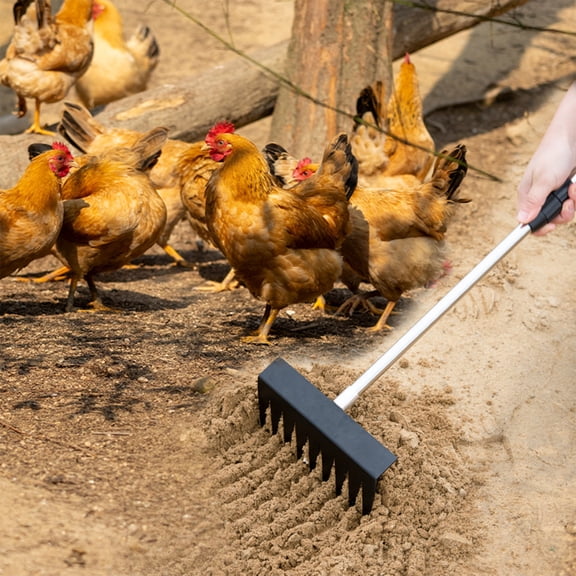 Stainless Steel Chicken Manure Shovel with Telescopic Handle - Poultry Coop Cleaning Tool for Droppings Removal - Extended Reach Scraper for Chicken Run, Barn, and Aviary