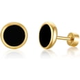 thumbnail image 1 of Stainless Steel Classical Simple Round Turquoise Onyx Screw Fitting Stud Earrings, 1 of 1