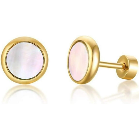 Stainless Steel Classical Simple Round Turquoise Onyx Screw Fitting Stud Earrings