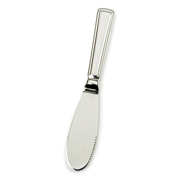 Stainless Steel Condiment Spreader