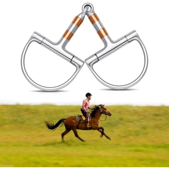 Stainless Steel D Ring Snaffle Bit for Horses Snaffle Mouth Gentle Horse Bit with Copper Roller for Training, Western & English Riding