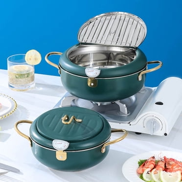 R&C 3L Yellow Mini Deep Fryer Pot Stainless Steel Japanese Frying Pot With Oil Filter Rack Lid Cooking Appliances I.343699059