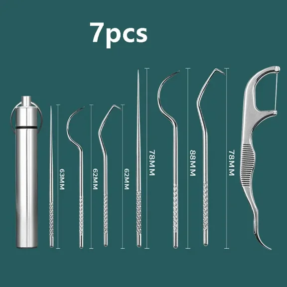 Stainless Steel Dental Pick Set, Portable Teeth Cleaning Tool Kit, Reusable Tooth Picks with Storage Case for Oral Care