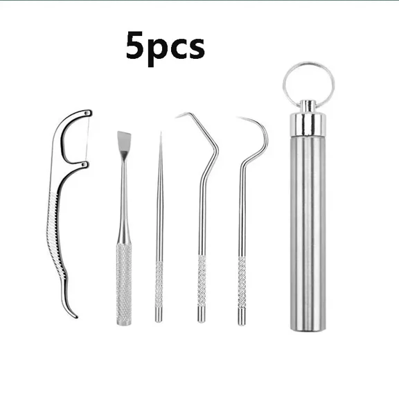 Stainless Steel Dental Pick Set, Portable Teeth Cleaning Tool Kit, Reusable Tooth Picks with Storage Case for Oral Care