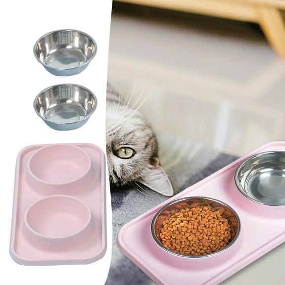 Stainless Steel Dog Bowl Non Spill Pet Feeder with Non Mat for Puppy Small Medium Dogs and Cats Durable Elevated Food Water Dish