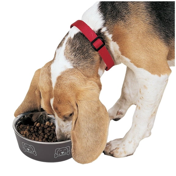 Stainless Steel Dog Bowl Non Skid Bottom Durable Dish Cute Fun Print 4 Sizes (Medium - 4 Cups)