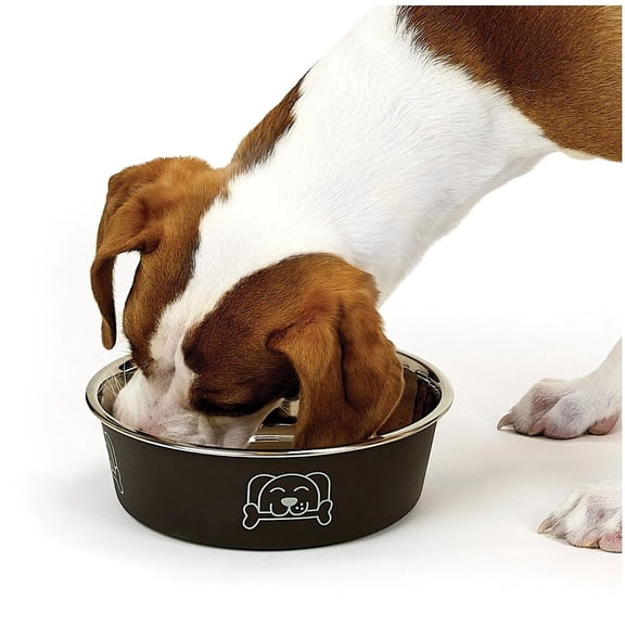 Stainless Steel Dog Bowl Non Skid Bottom Durable Dish Cute Fun Print 4 Sizes (X Large - 11 Cups)