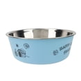 thumbnail image 1 of Stainless Steel Dog Bowls | Cat Bowls (Set of 1) - Anti Skid Dog Water Bowl | Cat Water Bowl - Dishwasher Safe(4.65Inch,Blue), 1 of 2