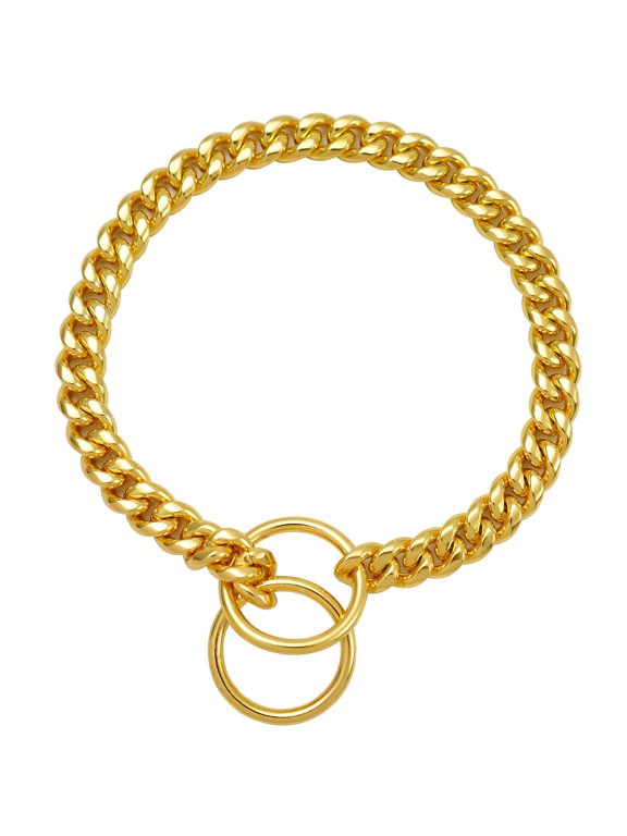 Stainless Steel Dog P Chain Collar Necklace for Small Outdoor Accessory 30cm