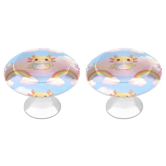 Stainless Steel Drawer Handles 2 Pack 1.1 Inch Cabinet Pulls Round Drawer Knobs for Kitchen Cabinets Furniture Doors Closets Axolotl Rainbow Cloud