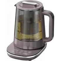 Stainless Steel Electric Kettle with Tea Infuser and Temperature Control,Glass Tea Maker, Rapid Boiling, for your Favorite Teas and Coffee