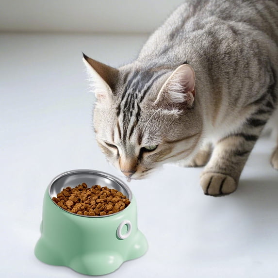 Stainless Steel Elevated Cat Bowl with Sturdy Base Spill Proof Pet Feeder Dish for Indoor Outdoor Use Durable Non Design