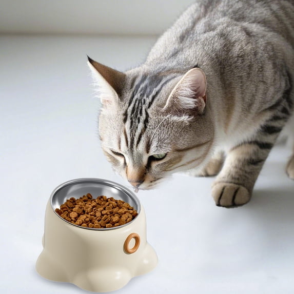 Stainless Steel Elevated Cat Bowl with Sturdy Base Spill Proof Pet Feeder Dish for Indoor Outdoor Use Durable Non Design