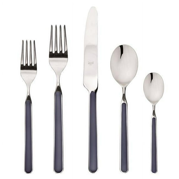 Stainless Steel Fantasia Place Set, Cobalt - 5 Piece