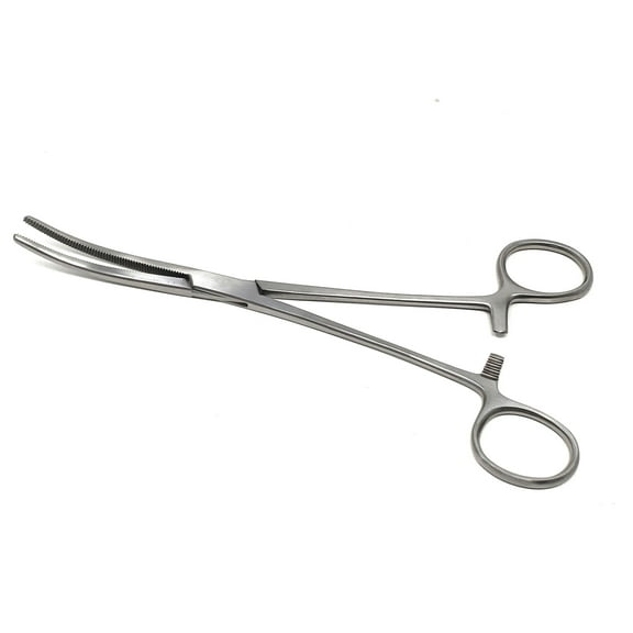 Stainless Steel Fishing Pliers Anglers Catch & Release Serrated Tool, Silver 8" Curved