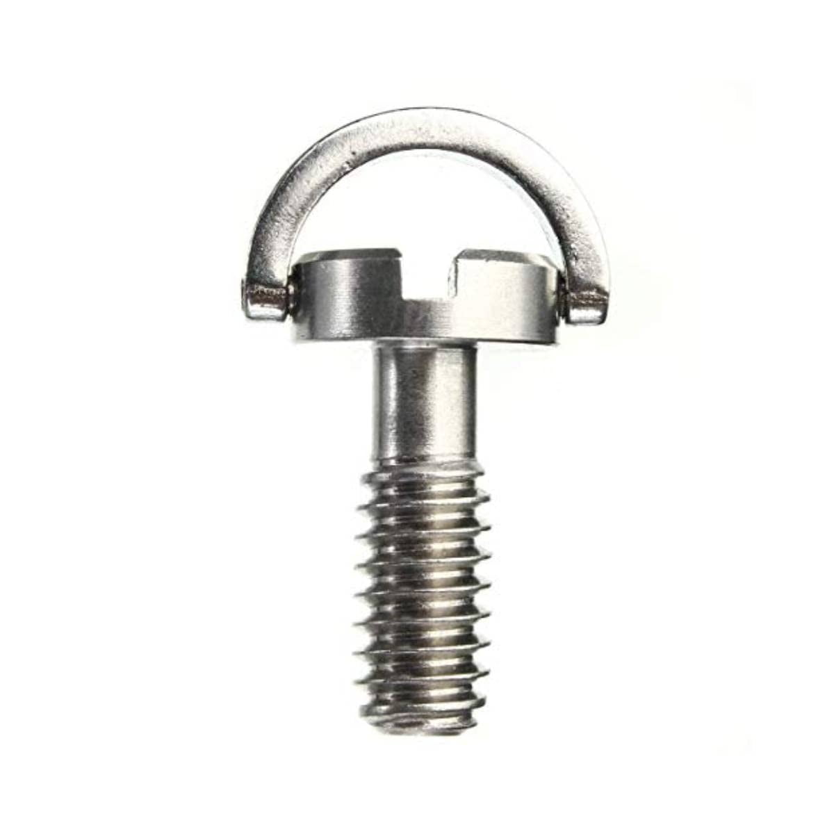 Stainless Steel Flat Head D Shaft D Ring 1/4