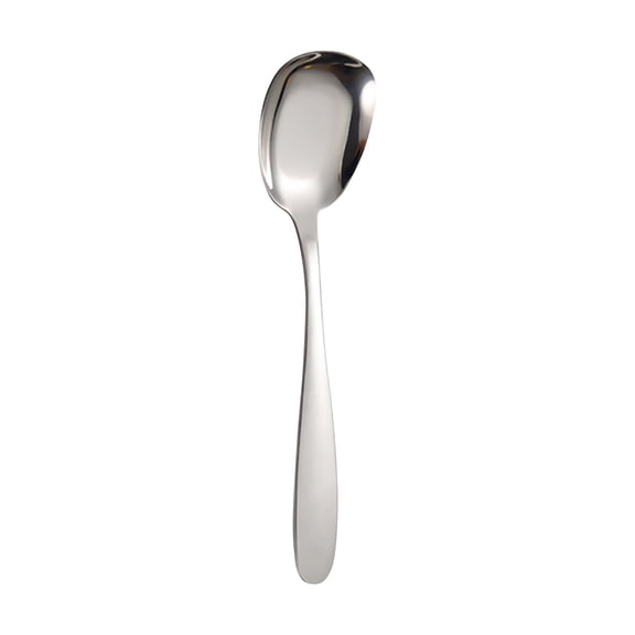 Stainless Steel Flat Spoon, Dessert Spoon Rice Spoon, Mirror Polish, Ergonomic Handle, Easy Clean, Dishwasher Safe, Ideal for Home, Restaurant, Daily Use