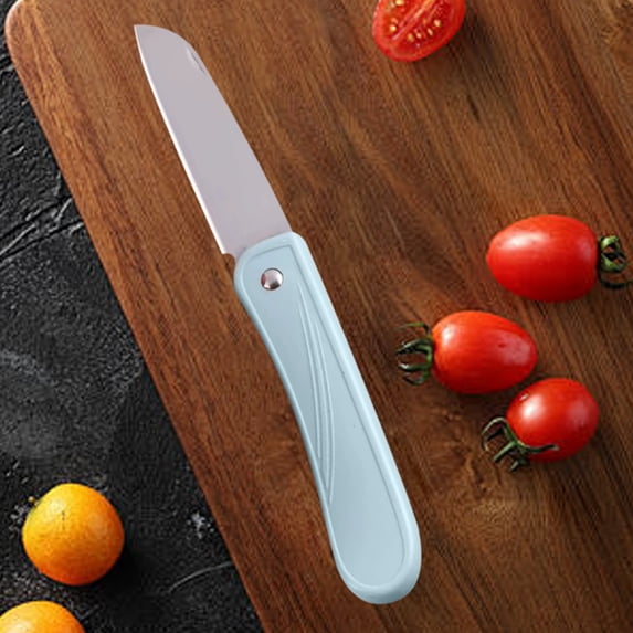Stainless Steel Folding Fruit Knife | Portable Paring Knife for Peeling, Slicing | Pink Blue Green Plastic Handle | 4.02in Compact Outdoor Mini Cutter | Durable, Ergonomic, Lightweight Design