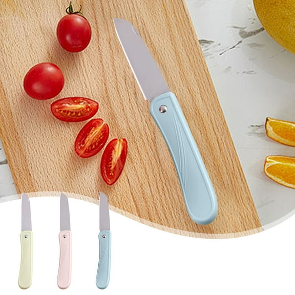 Stainless Steel Folding Fruit Paring Knife | Portable Slim Blade | Ergonomic Non-Slip Handle | Compact Travel Size | 10.2x2.2x1cm | Lightweight 20g | 1 Piece