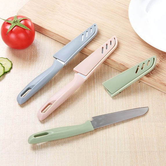 Stainless Steel Fruit Knife Set with Ergonomic Plastic Handle, Portable Paring Knife & Peeler, for Kitchen, Baby Food, Melons, Outdoor Use, Blue/Green/Pink
