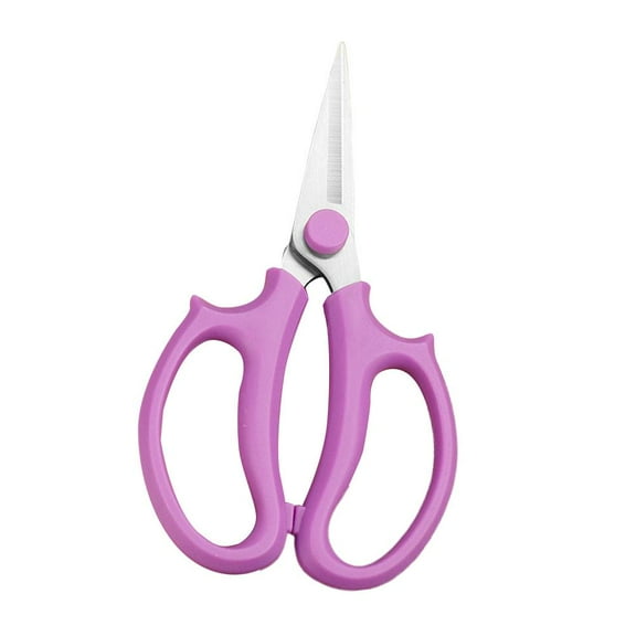 Stainless Steel Garden Flower Scissors for Pruning Fruit Trees, Gardens, Bonsai and Floral Arrangement with Ergonomic Design