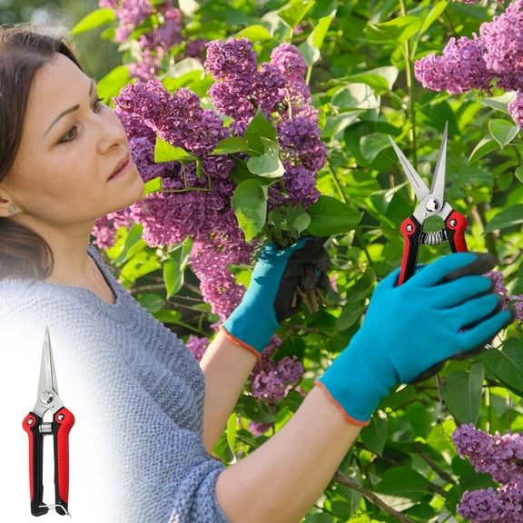 Stainless Steel Garden Pruning Shears | Pointed Tip Fruit Tree Scissors | Multi-Purpose Cutting Tool for Gardening & Crafts | 1 Pack
