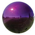 thumbnail image 1 of Stainless Steel Gazing Globe, 1 of 2