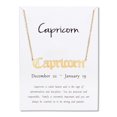 thumbnail image 1 of Stainless Steel Gold Plated 12 Zodiac, Horoscope, Old English, Nameplate Pendant Mens Womens Necklace, Giorgio Bergamo Stainless Steel Gold, Capricorn, 1 of 7