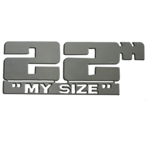 Stainless Steel Graphic Logo Emblem 2Pc Fits Universal Decal SGR11015 QAA