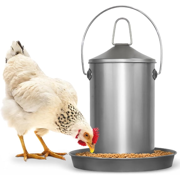 Stainless Steel Hanging Chicken Feeder no Waste Food-Grade Large - Poultry Feeder for Chicken Metal - Heavy Duty Reliable Long-Lasting with Handle