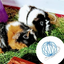 Stainless Steel Hay Feeder Hanging Forage Dispenser for Rabbits Pigs Small Durable