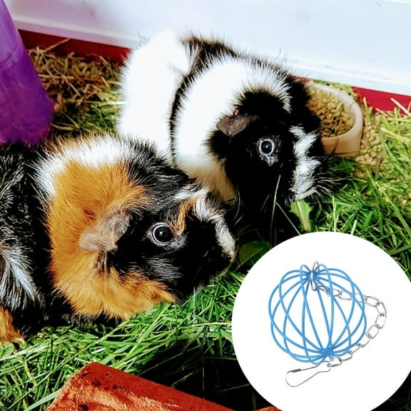 Stainless Steel Hay Feeder Hanging Forage Dispenser for Rabbits Pigs Small Durable