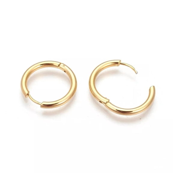 Stainless Steel Hoop Earrings Yellow Gold Huggie 1 Inch Pin 1mm Hinged Polished P623