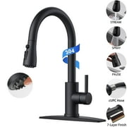 Stainless Steel Kitchen Faucet with Pull Out Sprayer(3 Modes), Black High Arc Single Handle Kitchen Water Faucet with Deck Plate for 1 3 Hole, Classic Faucets for RV Farmhouse Camper Laundry