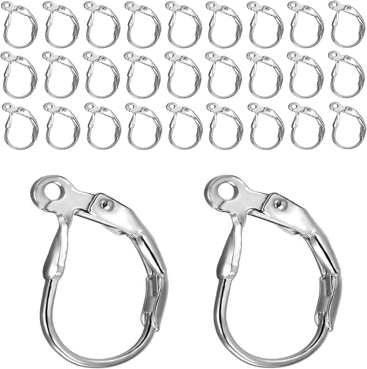 Stainless Steel Leverback Earring Hooks 100pcs French Ear Wire Lever Back Earwire for Jewelry Making Crafting