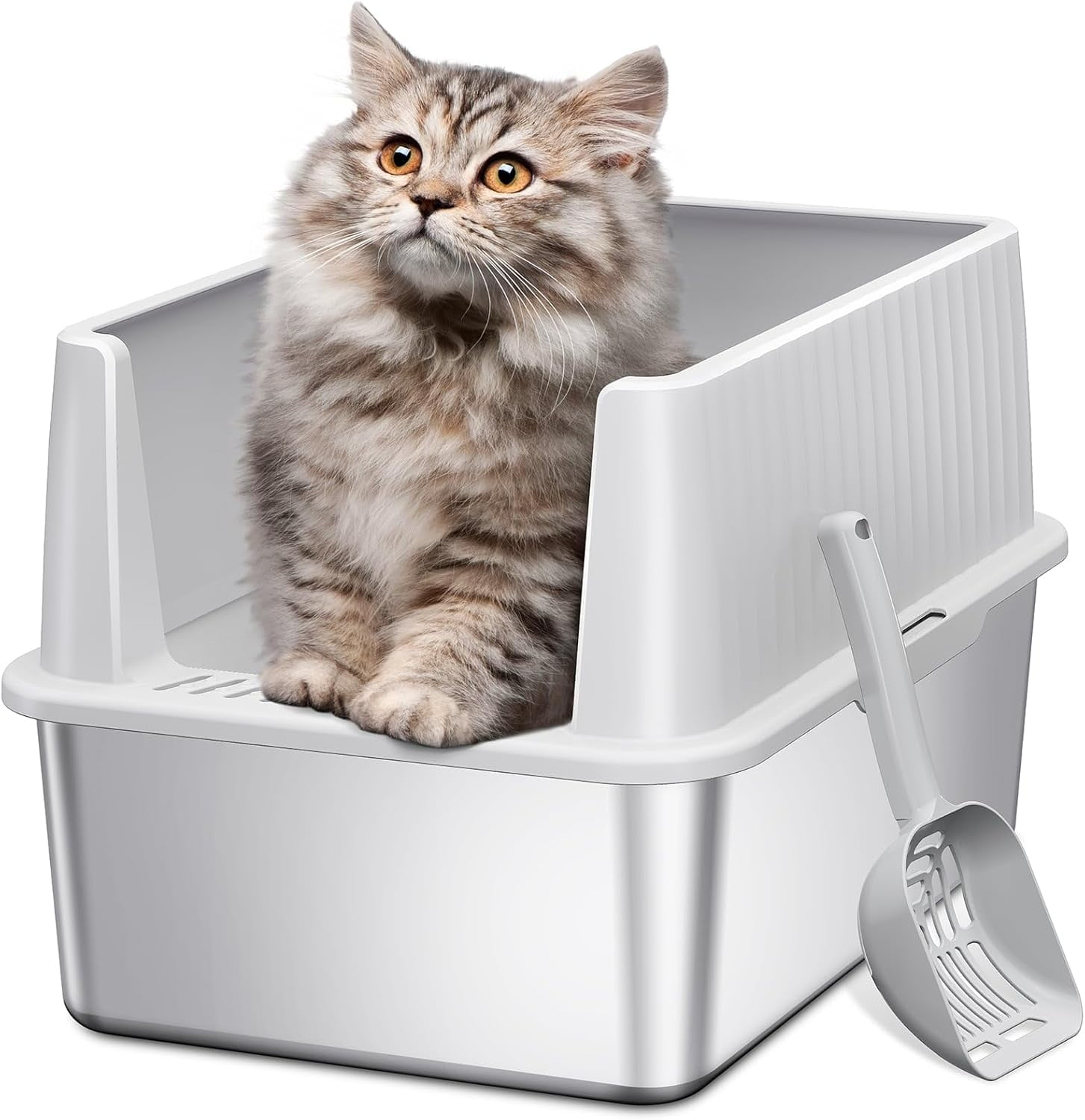 Stainless Steel Litter Box for Kittens, Small Cat Litter Box 17" L x 13