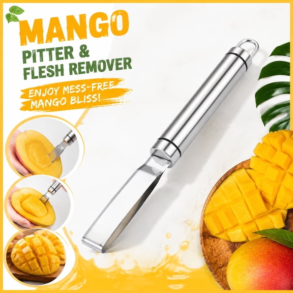 Stainless Steel Mango Pitter Tool, Fruit Corer Tool, Pear Corer, Peach Corer, Multi-Functional 8-Inch 304 Stainless Steel Kitchen Gadget with Metal Handle for Core Removal,